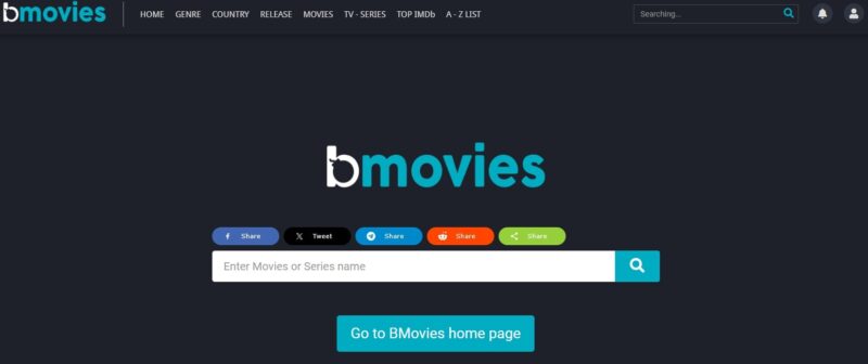 Screenshot of the B Movies website page