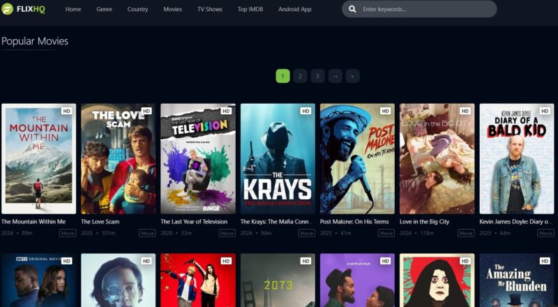 Screenshot of the FlixHQ streaming platform showcasing popular movies with thumbnails