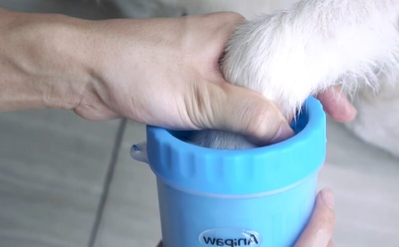 A person cleaning a dog’s paw using a blue silicone paw cleaner cup