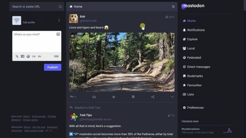 User interface of Mastodon social network